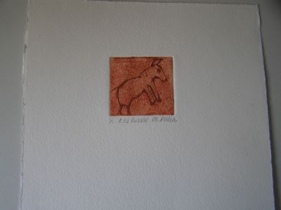 p31liten-hast.jpg