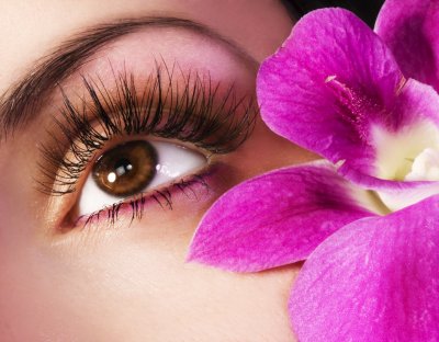 eyelash.jpg eyelash.jpg