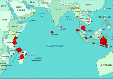 Indiska oceanen