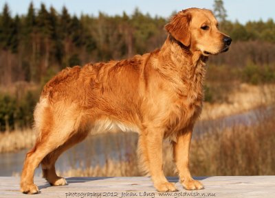 sixten4mars2012-1.jpg