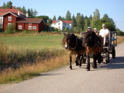 traktgorlinelarsylvamfl-frmfr-pallars-sommar.jpg