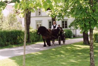 brudpar-frida-o-andreas-2003.jpg