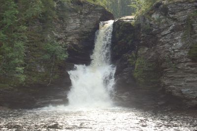 dsc-0061.jpg