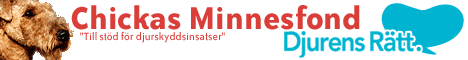chickasminnesfond-1-.gif chickasminnesfond-1-.gif