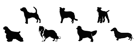raskunskap.jpg raskunskap.jpg