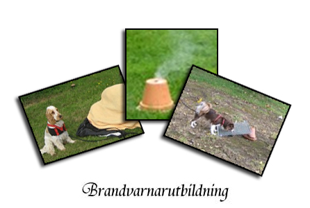 utbb-header-brand.jpg utbb-header-brand.jpg