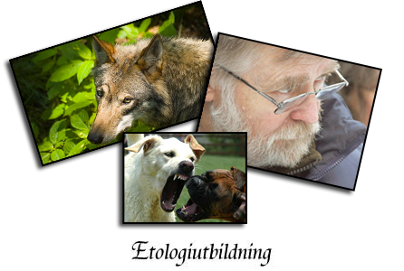 utbb-header-eto.jpg