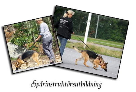 utbb-header-spar.jpg