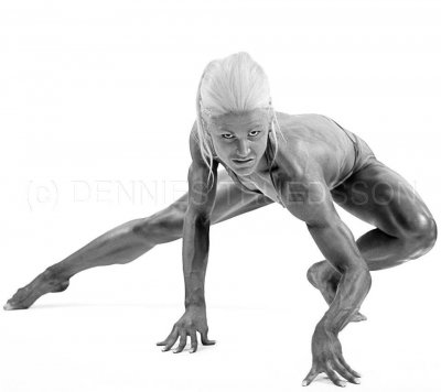 spider-woman.jpg spider-woman.jpg