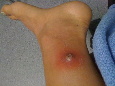 img-0338.jpg img-0338.jpg