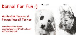 banner2.jpg