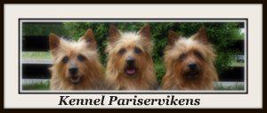 banner.jpg banner.jpg