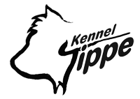 tippe-logo200.png tippe-logo200.png
