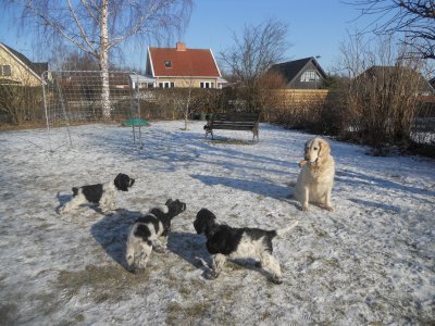 dscn7129.jpg