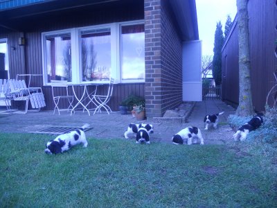 dscn3485.jpg