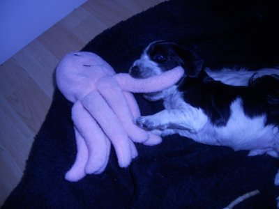 dscn2111.jpg