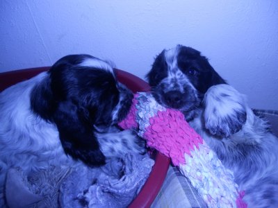 dscn4822.jpg