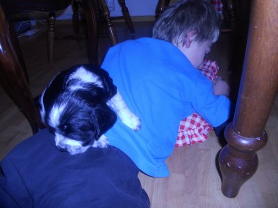 dscn3050.jpg
