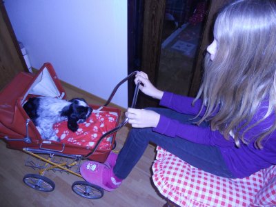 dscn4841.jpg