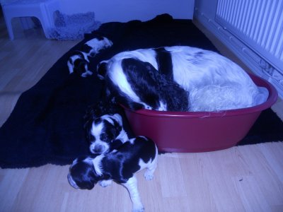 dscn1908.jpg