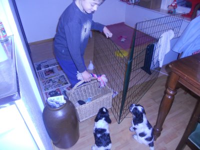 dscn3683.jpg
