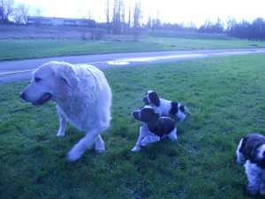 dscn5309.jpg