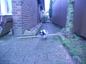 dscn4708.jpg
