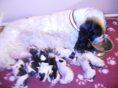dscn1218.jpg