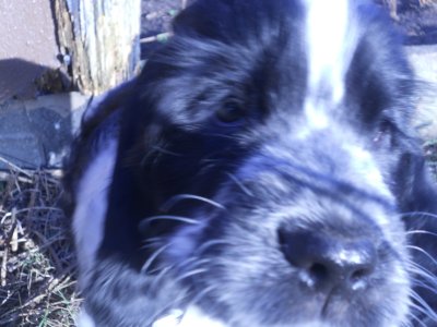dscn5048.jpg