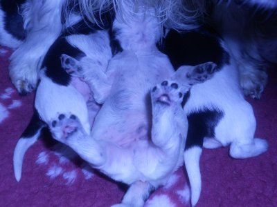 dscn1605.jpg