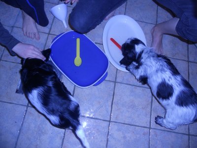 dscn4851.jpg