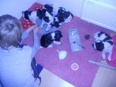 dscn3304.jpg