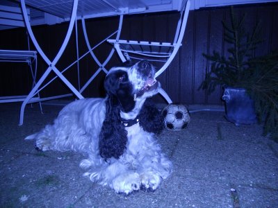 dscn4662.jpg