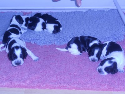 dscn1818.jpg