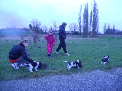 dscn5278.jpg