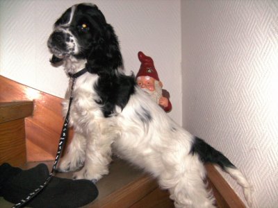 pict0006.jpg