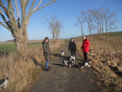 dscn7611.jpg