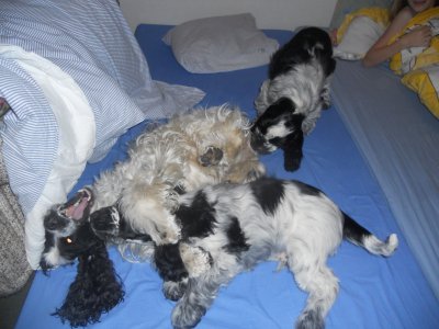 dscn7153.jpg
