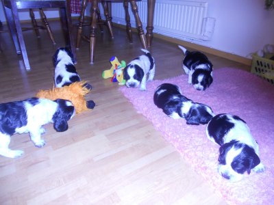 dscn2610.jpg