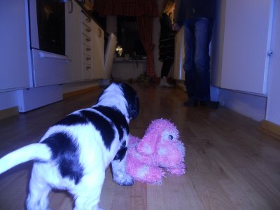 dscn2606.jpg