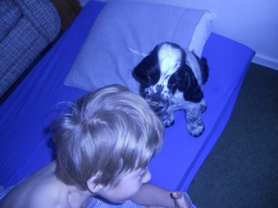 dscn5936.jpg
