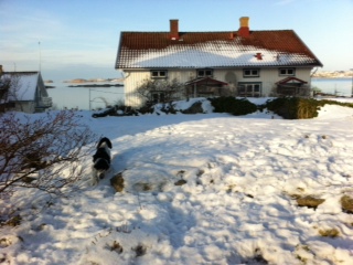 bild2.jpg