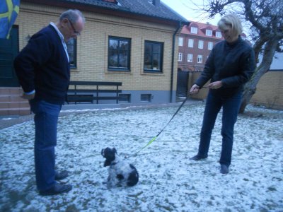 dscn7083.jpg