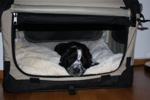 charlie-igjen-006.jpg
