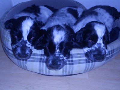 dscn6207.jpg