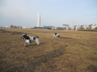 dscn7921.jpg