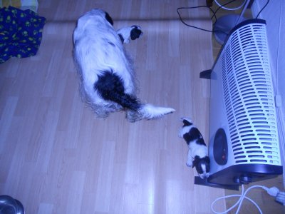 dscn1855.jpg