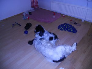 dscn5147.jpg