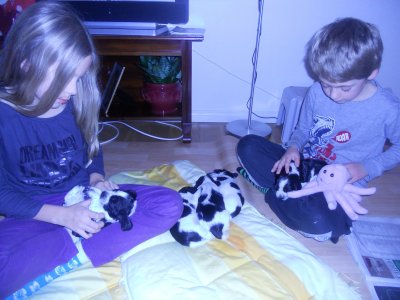 dscn2139.jpg