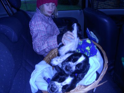dscn4178.jpg
